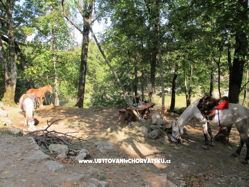 Apartment Filipović Kastav – Ferienwohnung Opatija, Kroatien – Foto 18