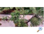 Apartmaji Oleandri - Opatija Hrvaka