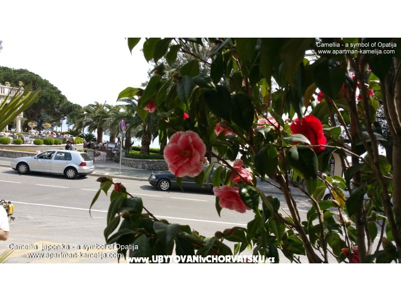 Appartement Kamelija – Ferienwohnung Opatija, Kroatien – Foto 17