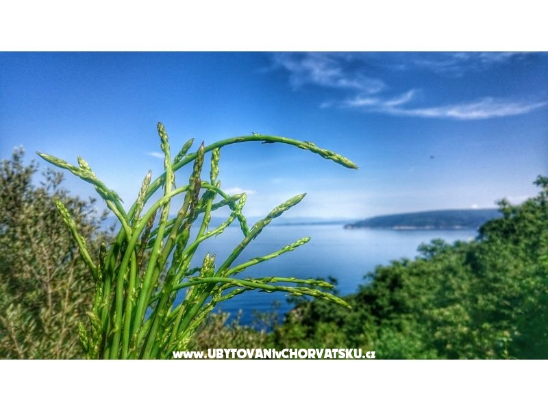 Garden of Pleasure – Ferienwohnung Opatija, Kroatien – Foto 12