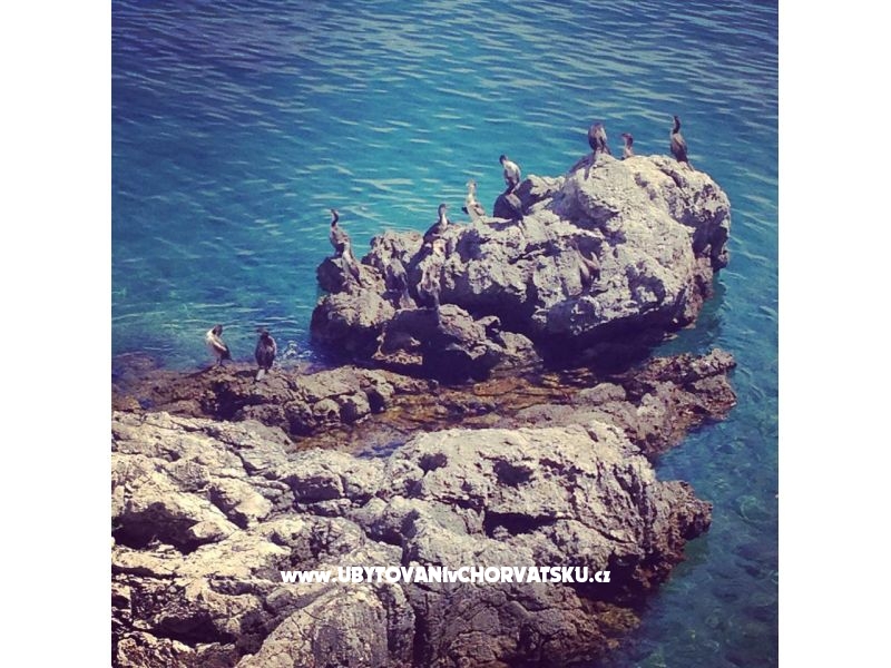 Garden of Pleasure – Ferienwohnung Opatija, Kroatien – Foto 8