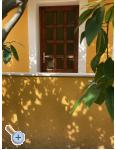 Appartements  Ante - Orebi  Peljeac Kroatien