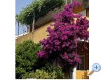 Apartmaji  Ante - Orebi  Peljeac Hrvaka