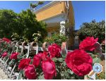 Apartmaji  Ante - Orebi  Peljeac Hrvaka