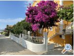 Apartmaji  Ante - Orebi  Peljeac Hrvaka