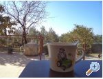 Apartmaji Mali Raj - Orebi  Peljeac Hrvaka
