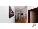 Appartements Ponta - Orebi  Peljeac Kroatien