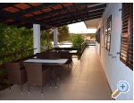 Appartements Radojkovi - Orebi  Peljeac Kroatien