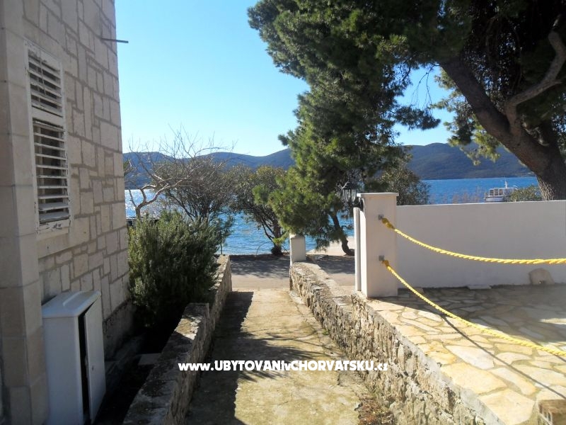 Appartements surf in Viganj – Ferienwohnung Orebic – Peljesac, Kroatien – Foto 3