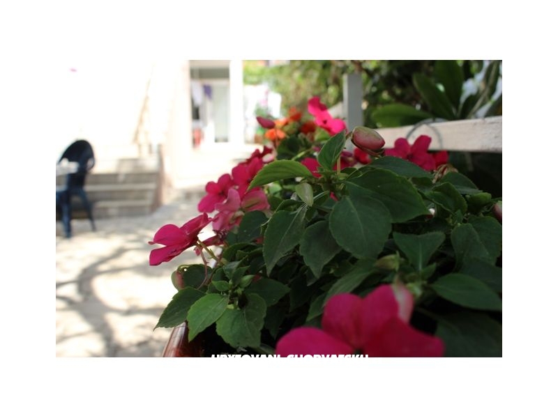 Appartements Tanja – Ferienwohnung Orebic – Peljesac, Kroatien – Foto 3