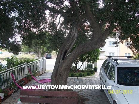 Appartements Tanja – Ferienwohnung Orebic – Peljesac, Kroatien – Foto 6