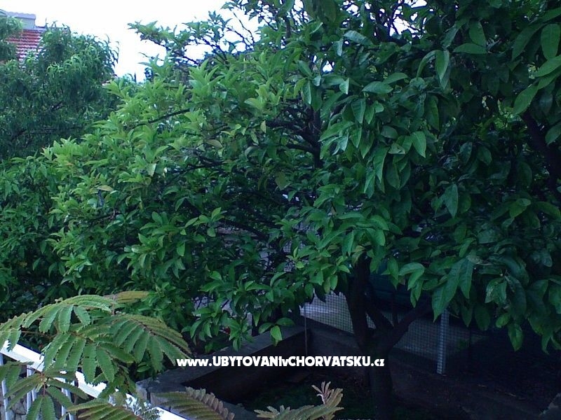 Apartmány Zorka – ubytování Orebić – Pelješac, Chorvatsko – foto 13