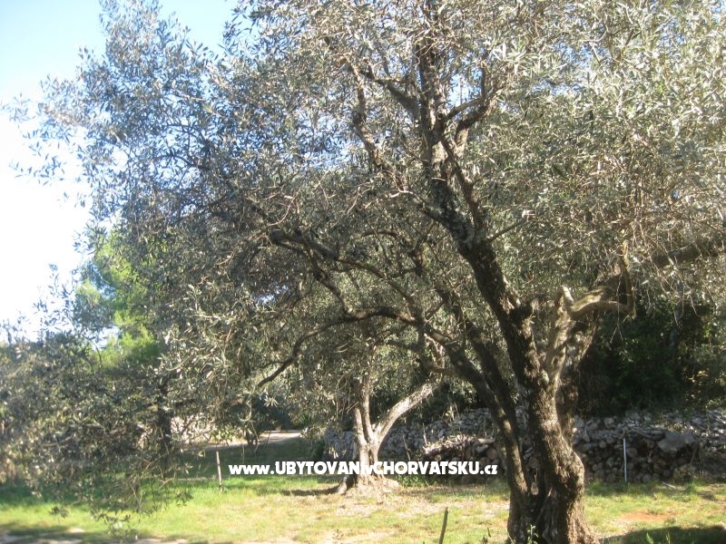 Appartements Mratović – Ferienwohnung Orebic – Peljesac, Kroatien – Foto 14