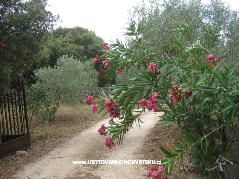 Appartements Mratović – Ferienwohnung Orebic – Peljesac, Kroatien – Foto 8