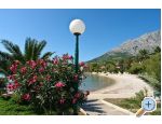 Apartmaji Mirjana - Orebi  Peljeac Hrvaka
