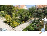 Apartments Pretner - Orebi  Peljeac Croatia