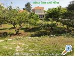 Apartments Pretner - Orebi  Peljeac Croatia
