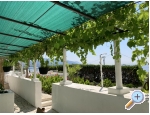 Appartements Ruvo - Orebi  Peljeac Kroatien