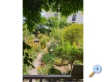 Ferienwohnungen Marijela - Orebi  Peljeac Kroatien