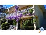 Apartmanok Marijela