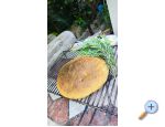 Apartmaji Marijela - Orebi  Peljeac Hrvaka