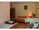 Apartmny Vidi - Orebi  Peljeac Chorvatsko
