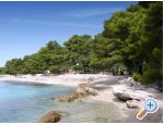 Apartmny Vidi - Orebi  Peljeac Chorvtsko