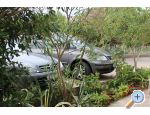 Apartmny Vidi - Orebi  Peljeac Chorvtsko