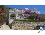 Kamp &amp; Apartmaji Vala - Orebi  Peljeac Hrvaka