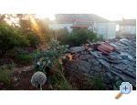 Apartment Braco - Orebi  Peljeac Kroatien
