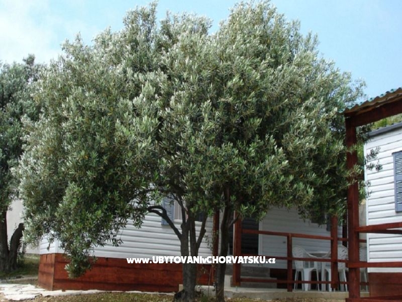 Mobile homes Viganj – Ferienwohnung Orebic – Peljesac, Kroatien – Foto 6