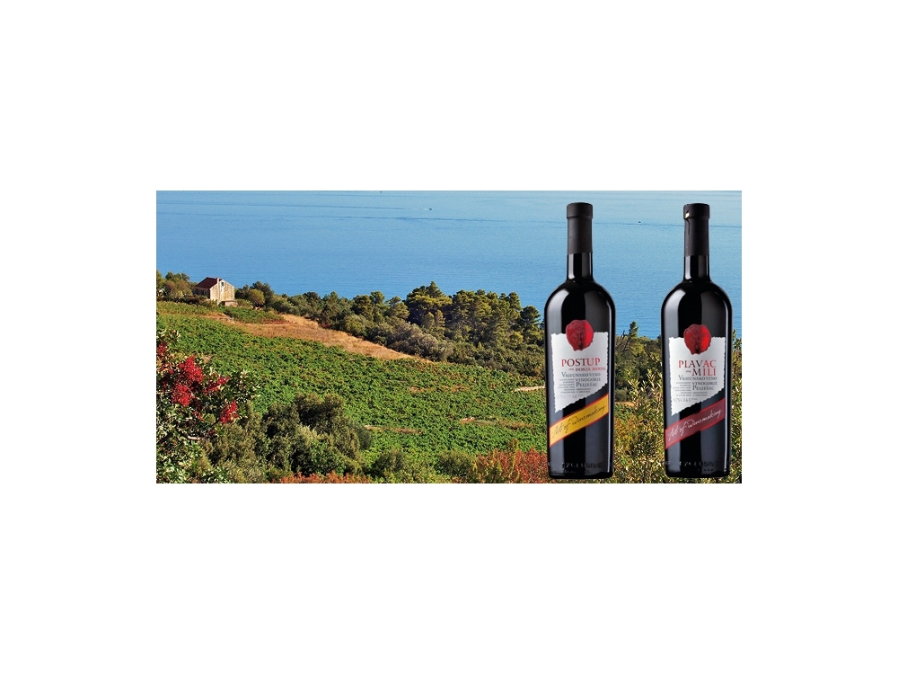 Villa Noa - Orebi� � Pelje�ac Chorwacja