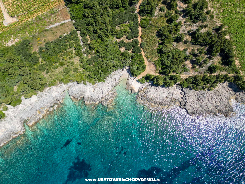 Villa Noa - Orebi� � Pelje�ac Chorwacja