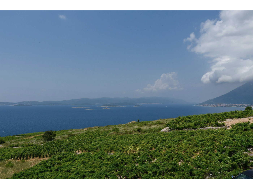 Villa Noa - Orebi� � Pelje�ac Hrvatska