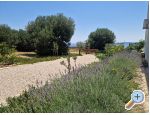 Sea Forever Apartmny - Orebi  Peljeac Chorvtsko