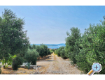 Sun Vila - Orebi  Peljeac Chorvatsko