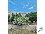 Sun Vila - Orebi  Peljeac Chorvatsko