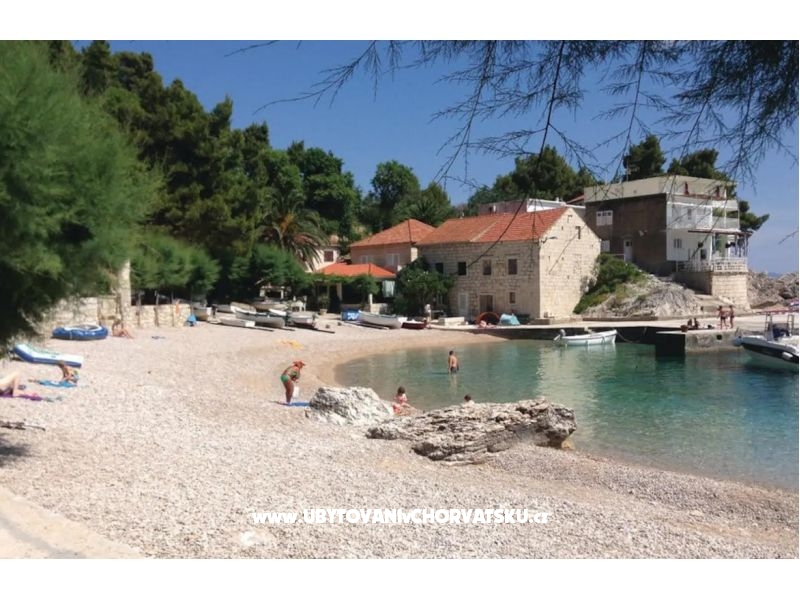 Two olive trees – ubytování Orebić – Pelješac, Chorvatsko – foto 2