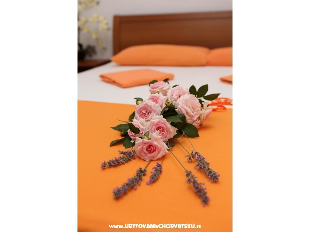 Vila Vida Orebi - Orebi  Peljeac Croatie