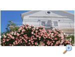 Vila Vida Orebi - Orebi  Peljeac Hrvaka