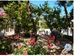 Villa Fani - Orebi  Peljeac Hrvaka