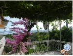 Villa Lea - Orebi  Peljeac Kroatien