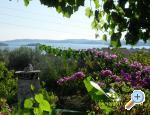 Villa Lea - Orebi  Peljeac Hrvaka