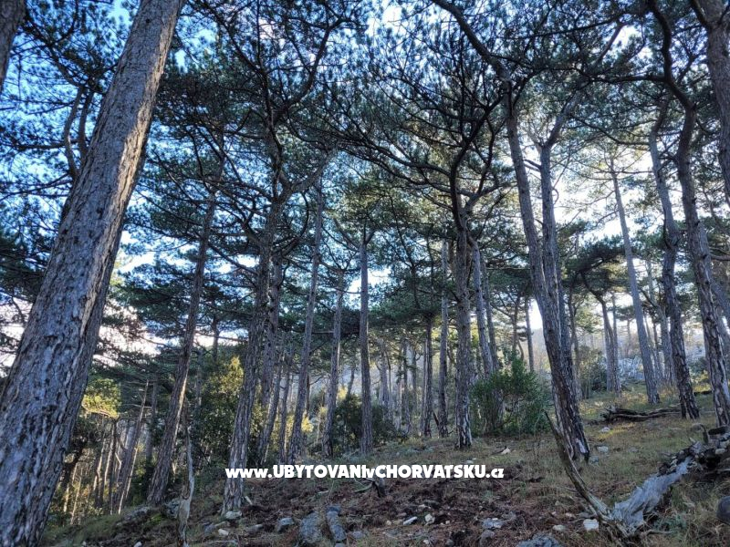 Villa Mendula – Ferienwohnung Orebic â€“ Peljesac, Kroatien – Foto 19