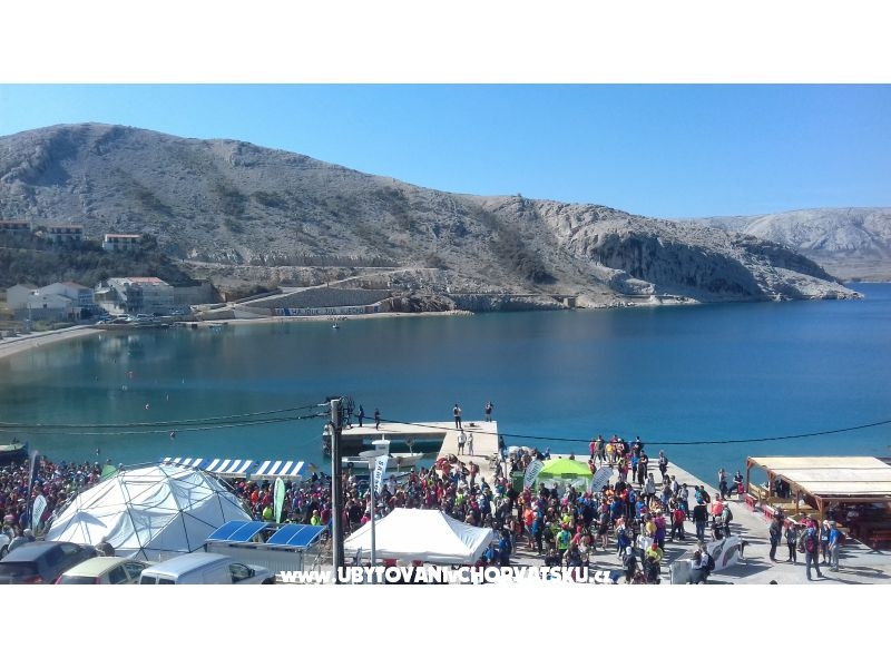 apartman Francisko – Ferienwohnung Insel Pag, Kroatien – Foto 8