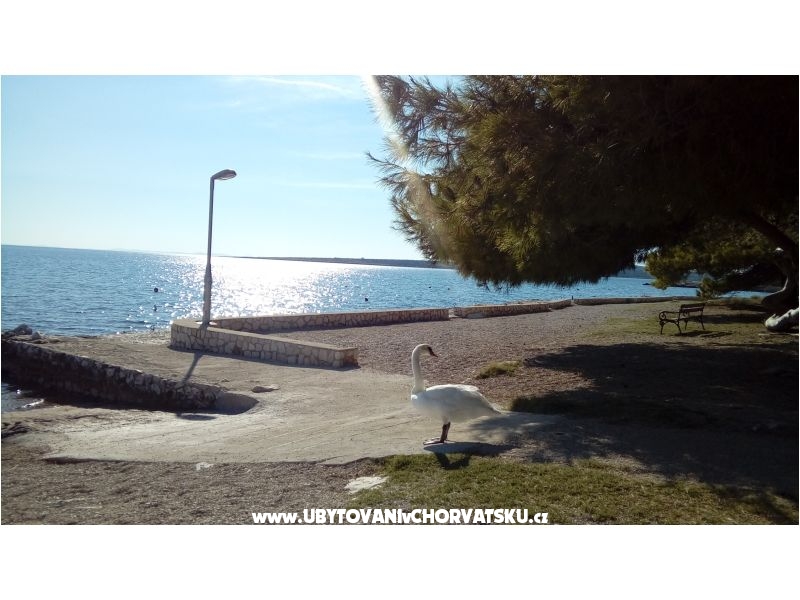 Apartment s pogledom na more – Ferienwohnung Insel Pag, Kroatien – Foto 3