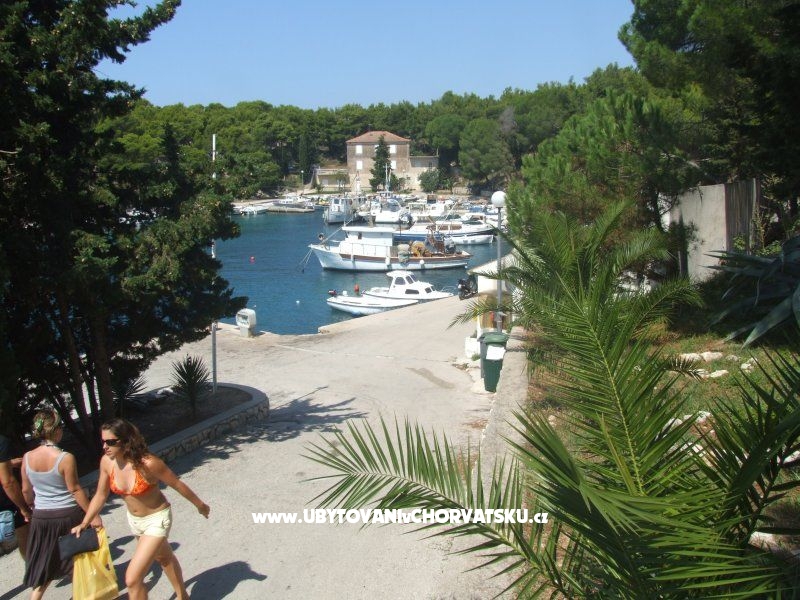 Apartment Sara – Ferienwohnung Insel Pag, Kroatien – Foto 10