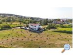 Apartmanok Anica - ostrov Pag Horvtorszg