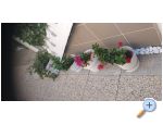Appartements D&amp;D - ostrov Pag Croatie