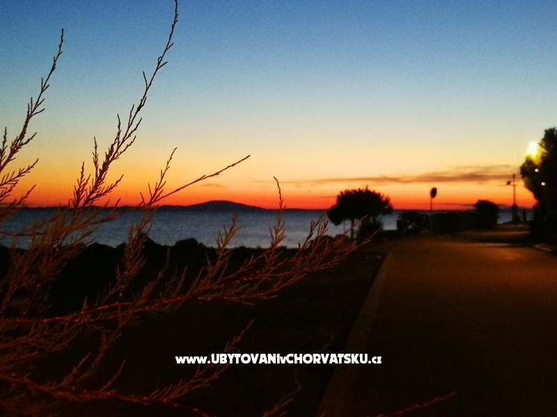 Appartements Elenor – Ferienwohnung Insel Pag, Kroatien – Foto 1